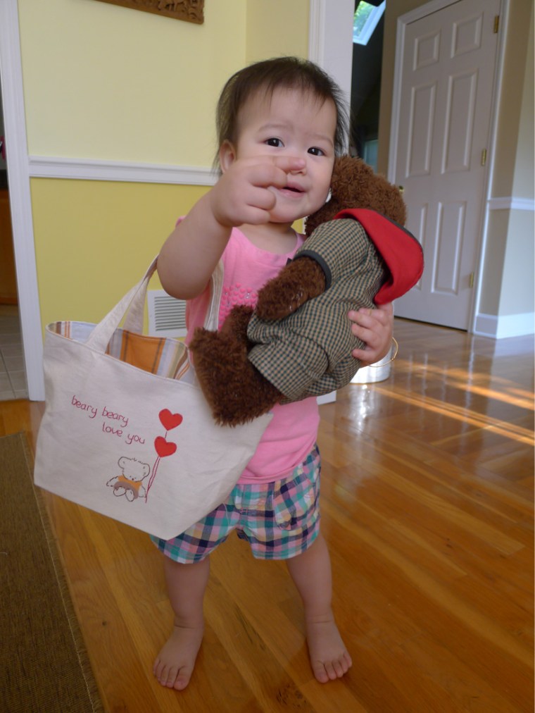 bear bag 6